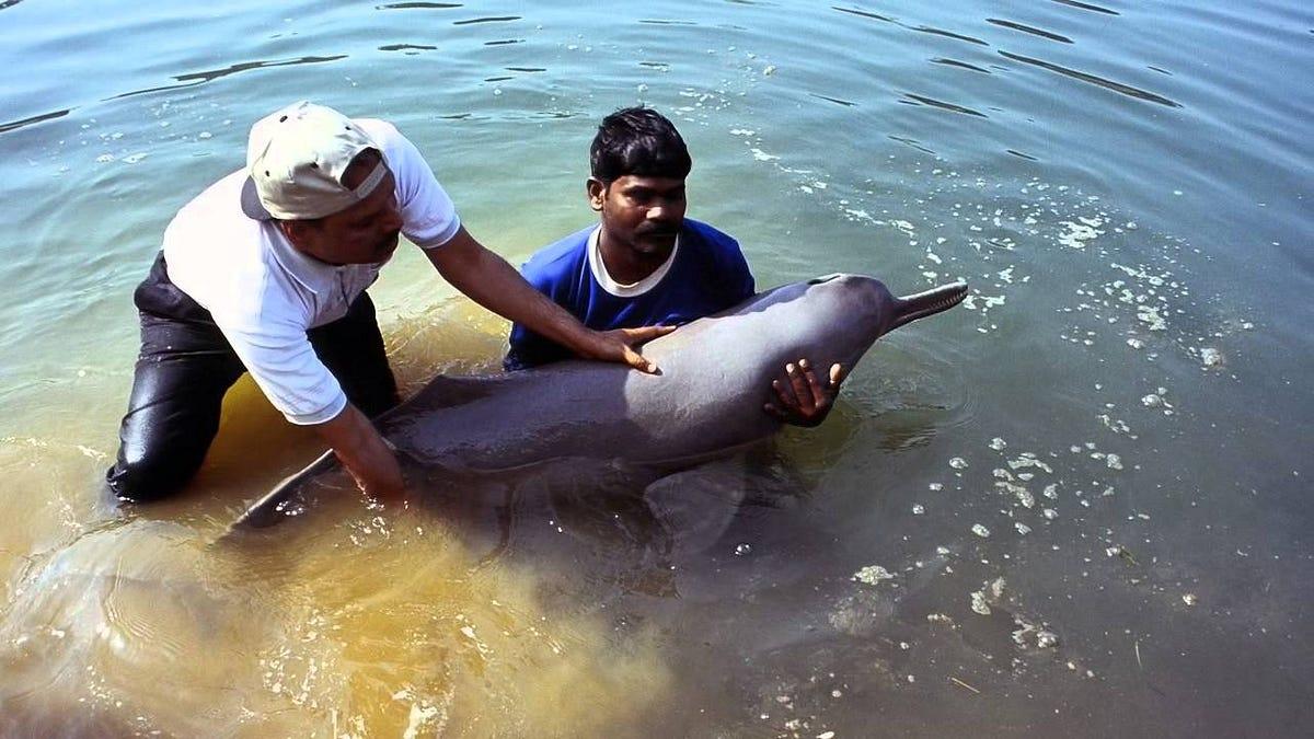 Conservation