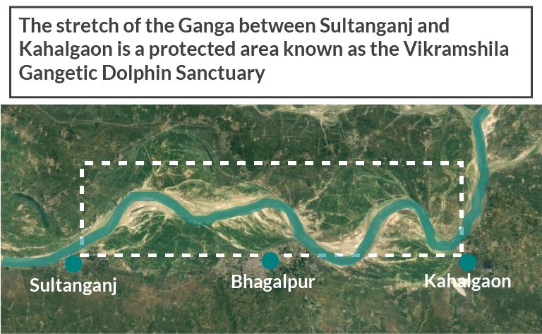 The protected stretch of the Ganga between Sultanganj and Kahalgaon